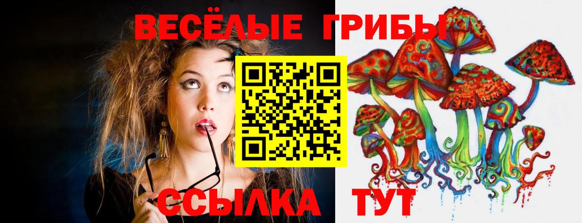 Псилоцибиновые грибы Psilocybe  Вход с VPN  Галлюциногенные грибы Psilocybine cubensis  Набережные Челны 