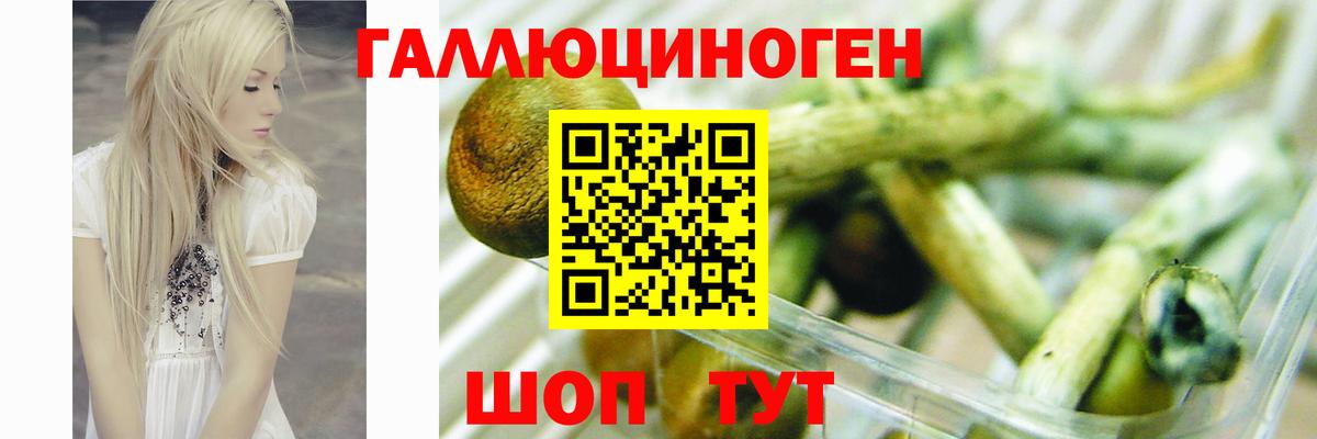 Псилоцибиновые грибы мицелий Набережные Челны